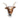 Longhorn Brooch